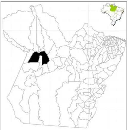 Figura 1: Mapa da localização de Santarém, no Estado do Pará – Brasil. 