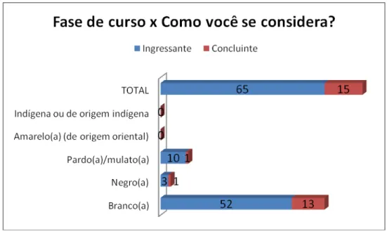 Figura 5. Fase do curso X Como você se considera?