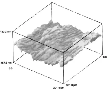 Fig. 2. 3D-images (×10) of the non-oxidised substrate surface after 3 mm diamond paste polishing