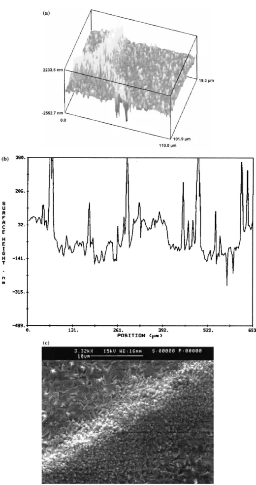Fig. 5. (a) 3D-images (× 40) of the oxide outer surface after oxidation at 800°C for 72 h R a =190 nm, area 203×144.4 mm