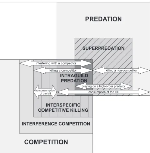 Fig. 3. Illustration of the differences, similarities and overlaps in terminology used in lethal interspecific interactions among vertebrate top predators
