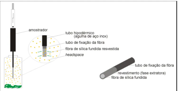 FIGURA 2    |    Extração por SPME a partir do headspace e detalhe da fibra