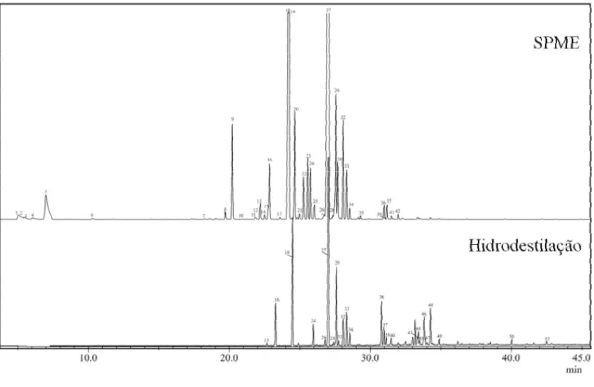 FIGURA 5    |    Cromatogramas obtidos nas análises por GC-MS dos