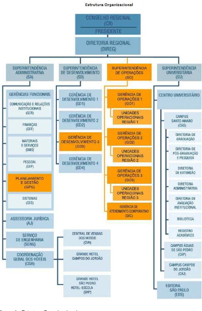 Figura 1 - Estrutura Organizacional 