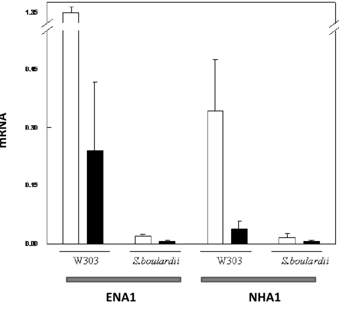Figura  6  –  Nível  de  transcrição  dos  genes  ENA1  e  NHA1  em  S.  boulardii  e                         S