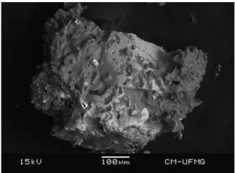 Fig. 1. SEM image of the maxwellite mineral sample.