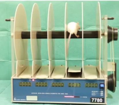 Figure 5: Rotarod apparatus for testing motor coordination. 