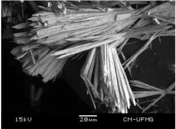 Fig. 1. Backscattered electron image (BSI) of a phurcalite crystal aggregate up to 0.2 mm in length.