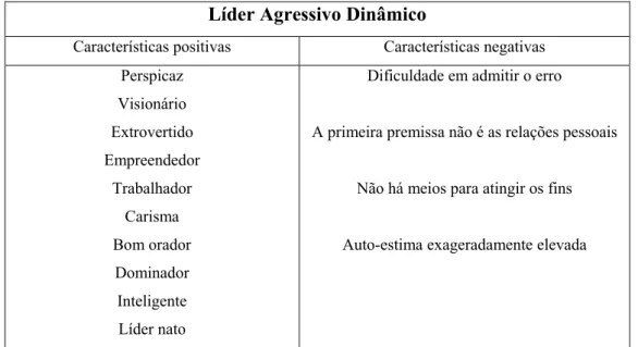 Fig. 6 – Características do líder agressivo dinâmico  