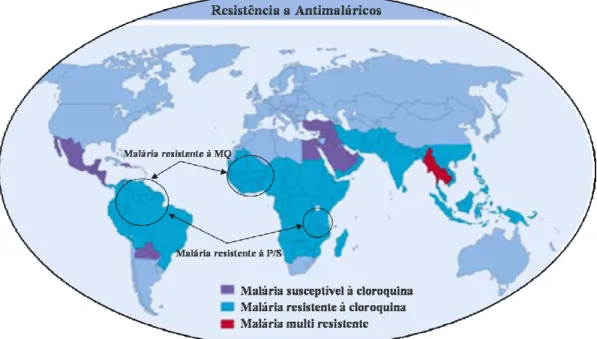 Figura I.5 – Mapa das áreas geográficas onde o parasita P. falciparum apresenta resistência aos fármacos  mais utilizados (adaptado de http://depts.washington.edu/sgpp/images/malaria_map.gif)