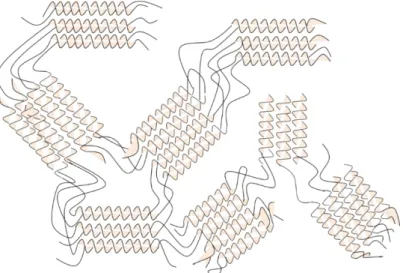 Fig. I.1.2 – Proposed model for agarose network formation considering intensive interhelical association (Source: Clark &amp; Ross- Ross-Murphy, 1987)