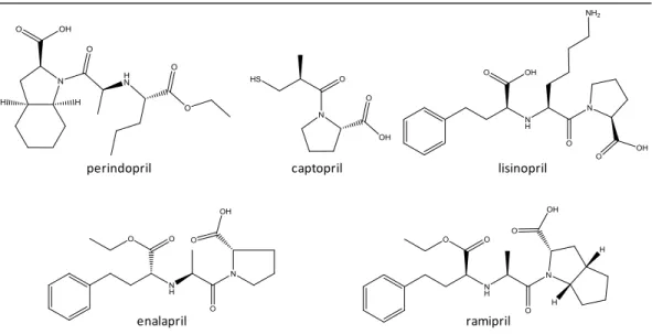 Figure 5. Angiotensin-converting enzyme inhibitor molecules with interest to this study 