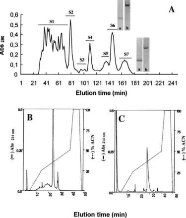 Fig. 1. Gel ®ltration of T. bahiensis venom using FPLC system. (A) The soluble fraction of T