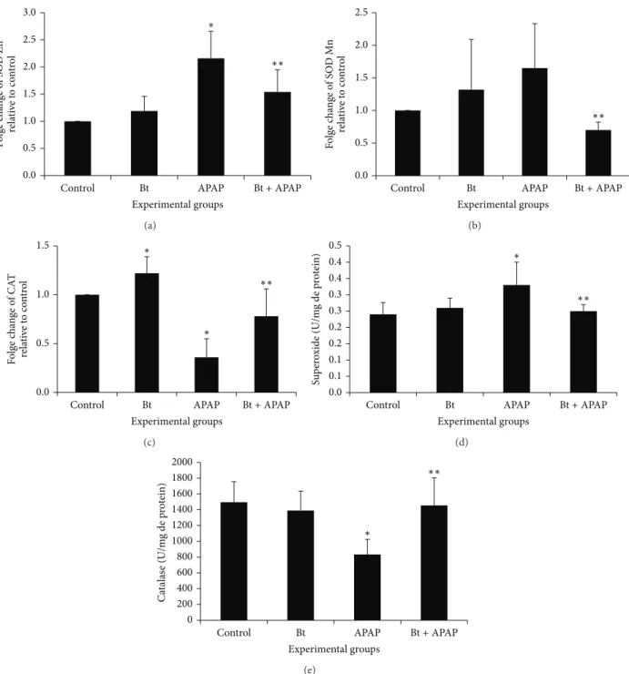 Figure 5: Effect of B. trimera hydroethanolic extract on the mRNA expression of the enzymes Zn-SOD (a), Mn-SOD (b), and CAT (c) and on the SOD (d) and CAT (e) activity in the livers of rats 24 h after treatment with APAP