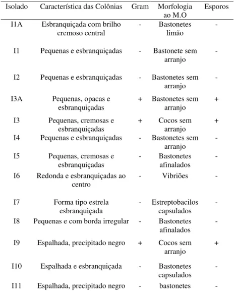 Tabela 4.1: Caracterização morfológica dos isolados obtidos a partir do Consórcio I. 
