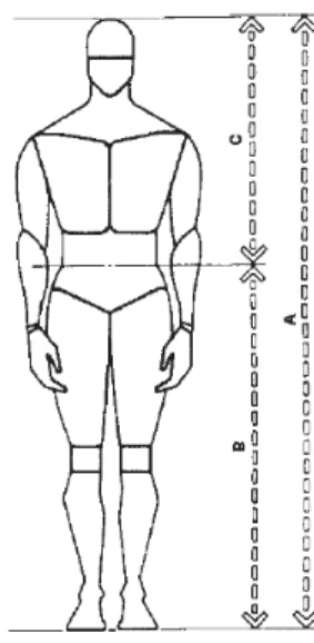 Figura 2.1 - As proporções do corpo humano definidas pela Seção Áurea  Fonte: BOUERI FILHO, 2008