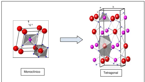 Figura 3.2: Transição de fase estrutural de monoclínico para tetragonal nos compostos do tipo  RENbO 4 