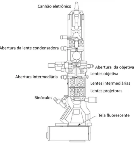 Figura 4.5: Microscópio eletrônico de transmissão esquemático. 