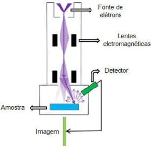 Figura 4.2: Desenho esquemático do microscópio eletrônico de varredura. 