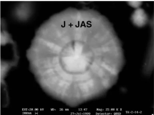 Fig. 4. Jarosite grain showing two generations of J and JAS phases.