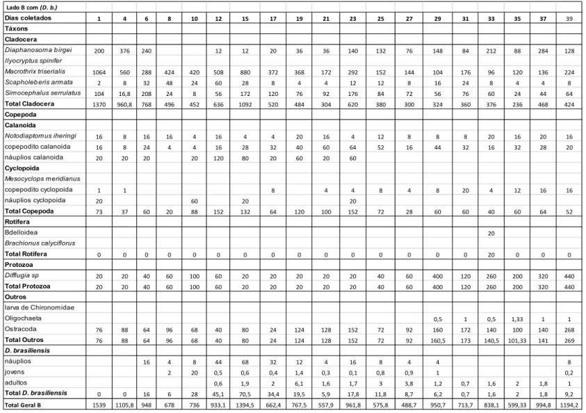 Tabela 3: Composição e densidade numérica (ind. L -1 ) das espécies zooplanctônicas no compartimento B do tanque experimental, com    Dendrocephalus brasiliensis (D