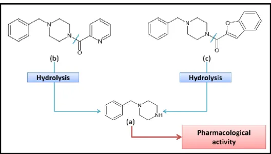 Figure 1: BZP (a) and its pro-drugs: EGYT-475 (b) and DIV-145 (c).