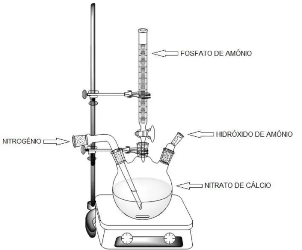 Figura  3.1:  Modelo  esquemático  do  sistema  utilizado  para  a  síntese  da  Hidroxiapatita