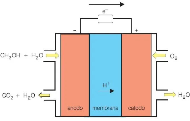 FIGURA 1.1 - Esquema de uma célula a combustível de metanol direto  7 .