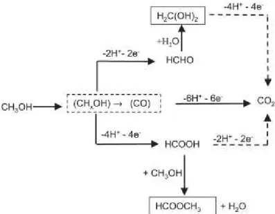 FIGURA  1.2  -  Mecanismo   de   reação   simplificado   para   a   eletrooxidação   de metanol  20 .