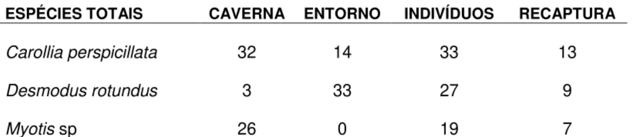 Tabela 2. Número total de indivíduos capturados e número de recapturas para as três espécies que  foram  recapturadas  na  Gruta  do  Riacho  Subterrâneo,  Itu,  São  Paulo  e  no  seu  entorno,  em  cinco  coletas realizadas no período de outubro de 2013 