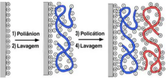 Figura 2.4 - Esquema  de  fabricação  de  um  filme LbL:  1 Adsorção  do poliânion; 2 Lavagem para retirada do poliânion fracamente adsorvido; 3 Adsorção do policátion; 4 Lavagem para retirada do policátion fracamente adsorvido