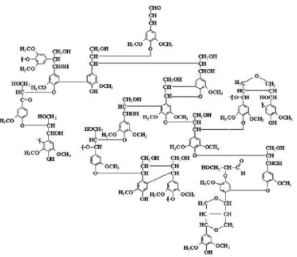 Figura 2.7. Estrutura da lignina de Fagus sp (FENGEL e WEGENER, 1989) 