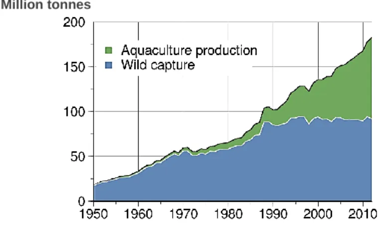 Figure 1 – World capture fisheries and aquaculture production. Adapted from: FAO World Review of Fisheries and  Aquaculture