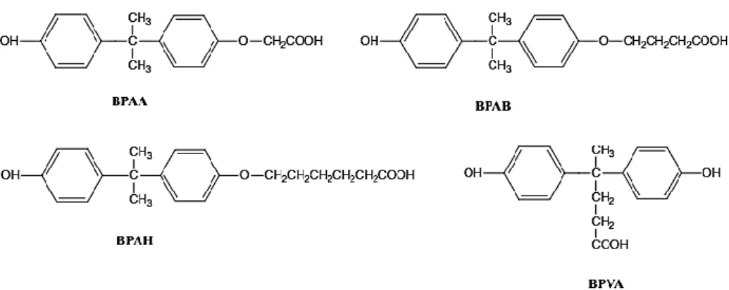 Figure 16 - Chemical structures of the haptens of BPA used to develop the immunoassay