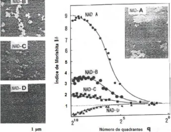 Figura  2.33  Micrografias  obtidas  por  MET  e  a  curva  correspondente  I   em  função de q