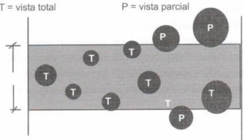 Figura  2.36  Efeito  da  microtomia  do  filme  na  redução  da  fração  volumétrica  aparente (seção transversal de um filme microtomado) [78] 