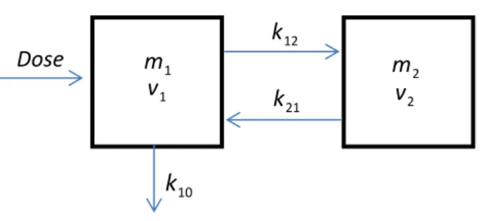 Figura 1 _ Representação esquemática do modelo bicompartimental,  m i  representa a  massa do fármaco no compartimento  i ,  v i  o volume do compartimento e os  k ’s as  constantes de transferência de massa