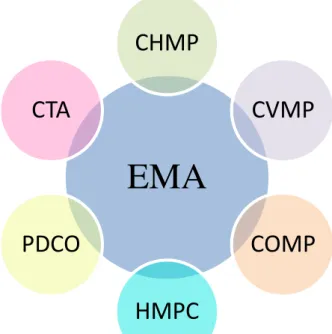 Figura 4. Constituição da EMA e respetivos comités científicos.  