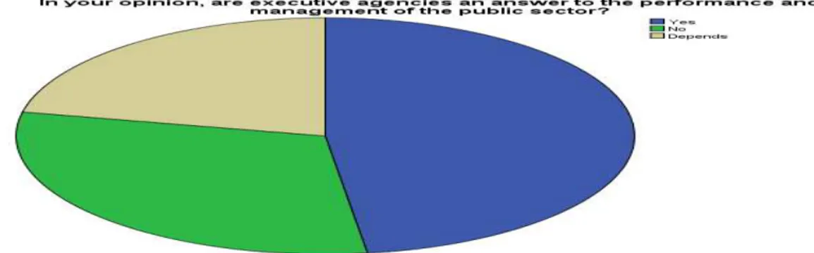 Figure 9 : Participants’ perceptions on agencies in the public sector   