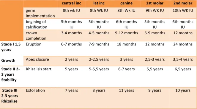 Table 3 Eruption and mineralization age of deciduous teeth, adapt (Delbos, 2009). 