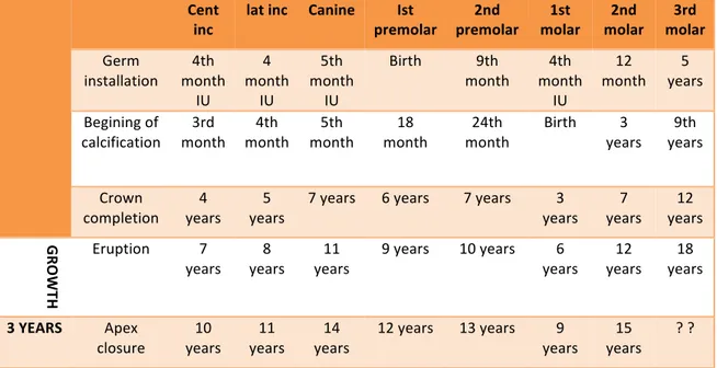 Table 4: Chart of permanent teeth mineralization ages, adapt (Delbos, et al. 2009). 