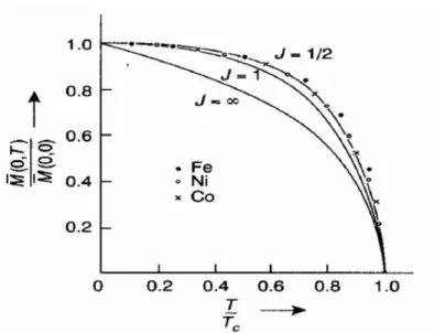 Figura 1.1: Comportamento das magnetizac¸˜oes espontˆaneas dos compostos formados por Ferro, N´ıquel e Cobalto, onde as curva te´oricas s˜ao baseadas na teoria de Weiss [2]
