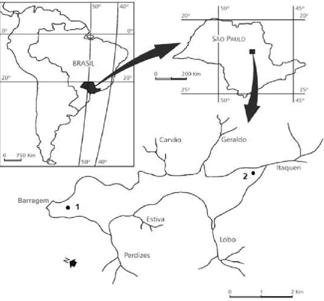 Figura 2: Localização da Represa do Lobo com seus tributários, indicando a localização dos pontos de  coleta (Modificado de Rietzler  et al