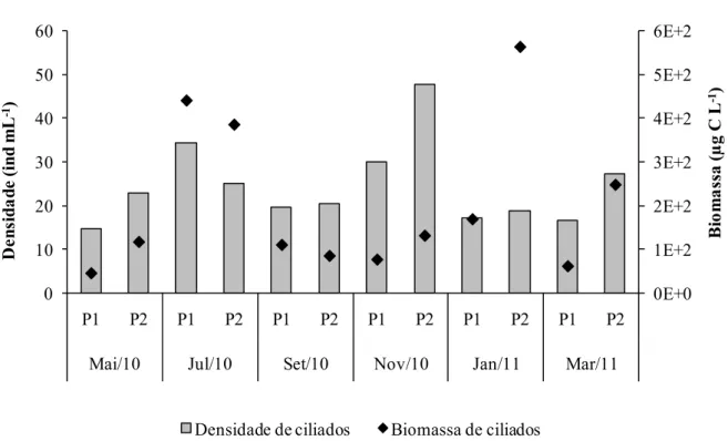 Figura 15: Densidades e biomassas de ciliados nos dois pontos de coleta (P1 e P2) na Represa do Lobo  durante o período de estudo