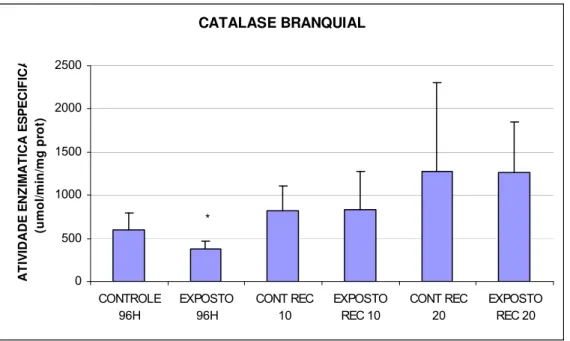 Figura 9. Catalase branquial (umol/min/mg prot) de matrinxãs expostos a deltametrina (96h) e após  os períodos de recuperação de 10 e 20 dias
