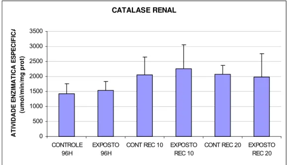 Figura 10. Catalase renal (umol/min/mg prot) de matrinxãs expostos a deltametrina (96h) e após os  períodos de recuperação de 10 e 20 dias