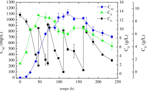 Figura 3.12 – Perfis de concentração de AC  (C AC ), células (C X ) e glicerol (C G ) ao longo do tempo no  cultivo em batelada com 4 pulsos de glicerol e temperatura de 25ºC (BP25-25-4)