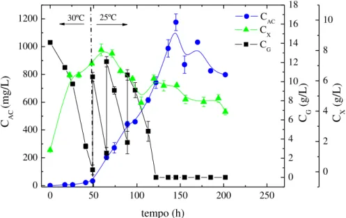 Figura 3.18  –  Perfis de concentração de AC  (C AC ), células (C X ) e glicerol (C G ) ao longo do tempo no  cultivo em batelada com 3 pulsos de glicerol e com redução de temperatura de 30 para 25ºC   
