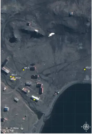 Figura 10.1 – Imagem de satélite da estação Bellingshausen com os pontos de  coleta em amarelo 