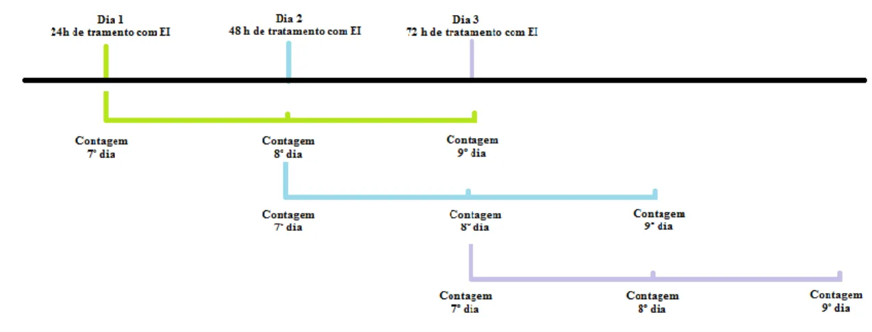 Figura  4:  Esquematização  do  ensaio  da  capacidade  multiplicativa  de  L.  infantum  após  isolamento  do  parasita a partir de macrófagos tratados com inibidores de efluxo